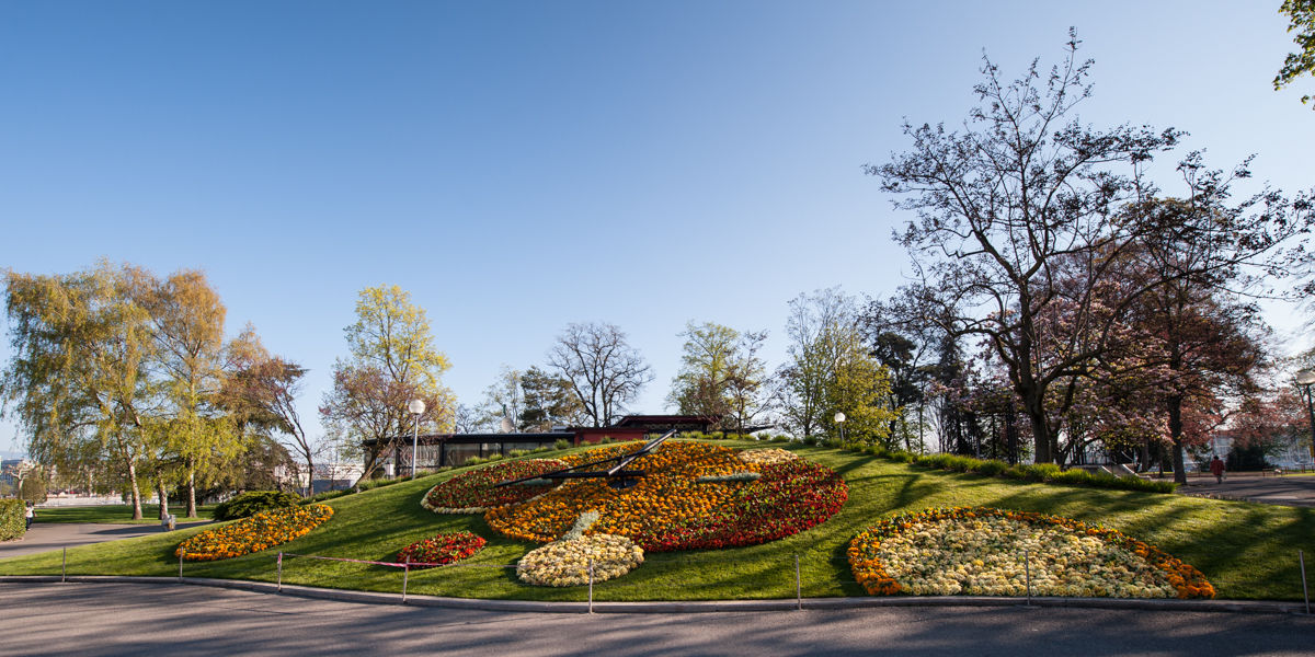 A Botanical Timekeeper - The Flower Clock